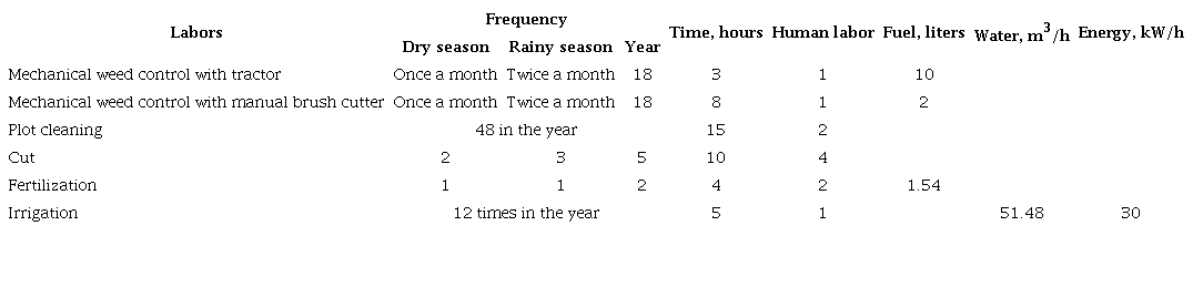 Technical sheet for the maintenance of the C. purpureus germplasm bank at ICA