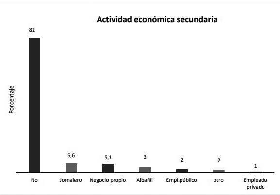 Actividad econ&oacute;mica secundaria