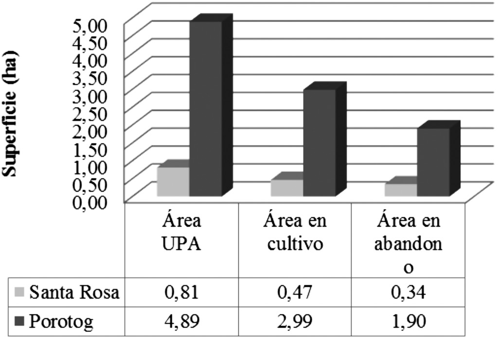 Distribuci&oacute;n de los promedios de &aacute;rea por UPA y las proporciones puestas en cultivo y en abandono, para las comunidades Santa Rosa y Porotog, parroquia Cangahua, cant&oacute;n Cayambe.