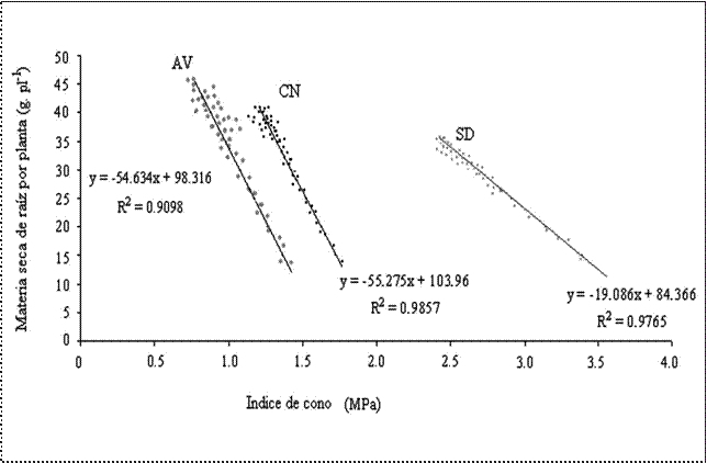 Relación entre la MSR y el IC.