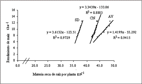 Relación entre el rendimiento del maíz y la MSR.