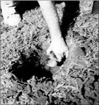 Cilindro para la medición y chequeo del contenido de agua en el suelo.