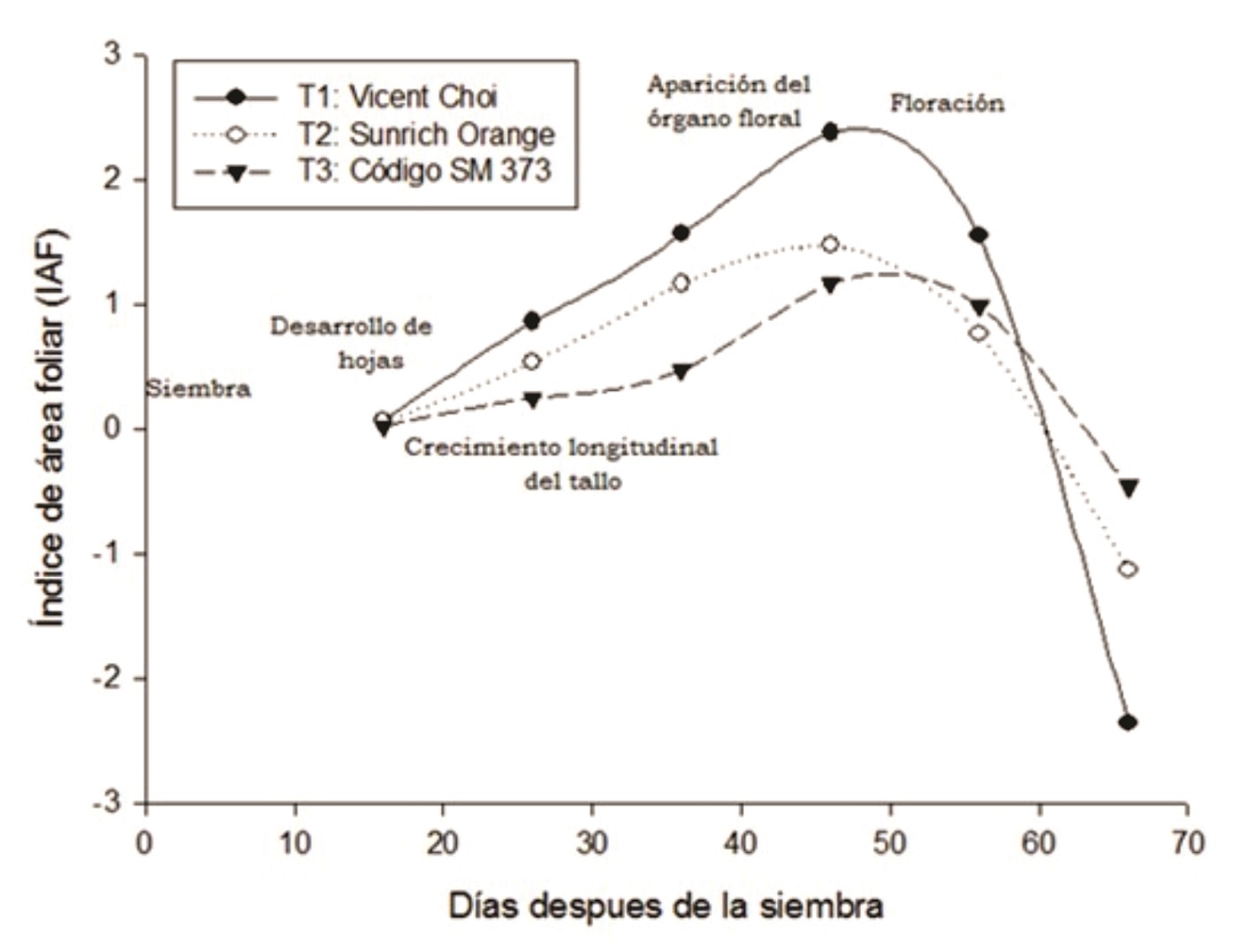 ndice de rea foliar de tres cultivares hbridos de girasol en funcin del tiempo.