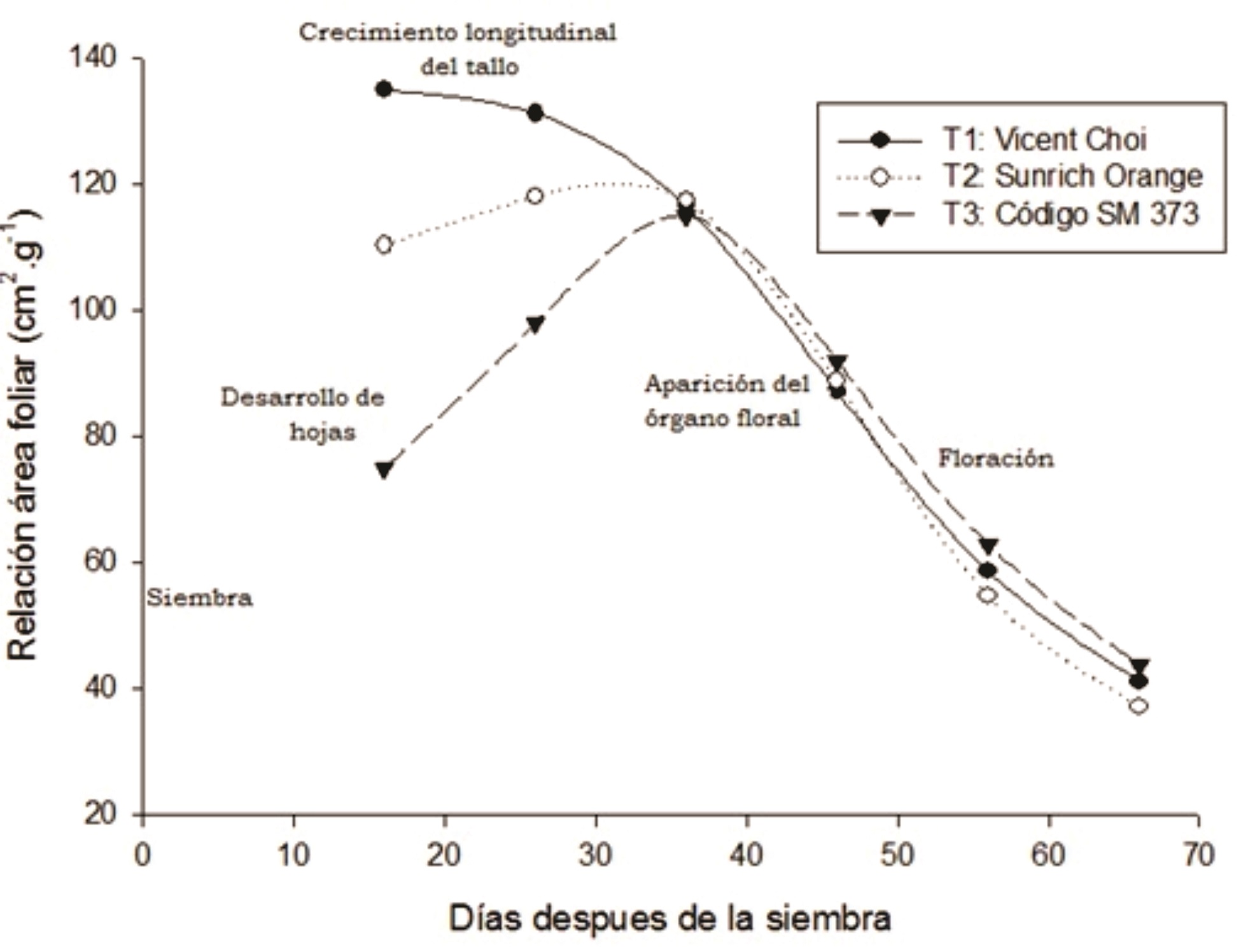 Tasa del rea foliar de tres cultivares hbridos de girasol en funcin del tiempo.