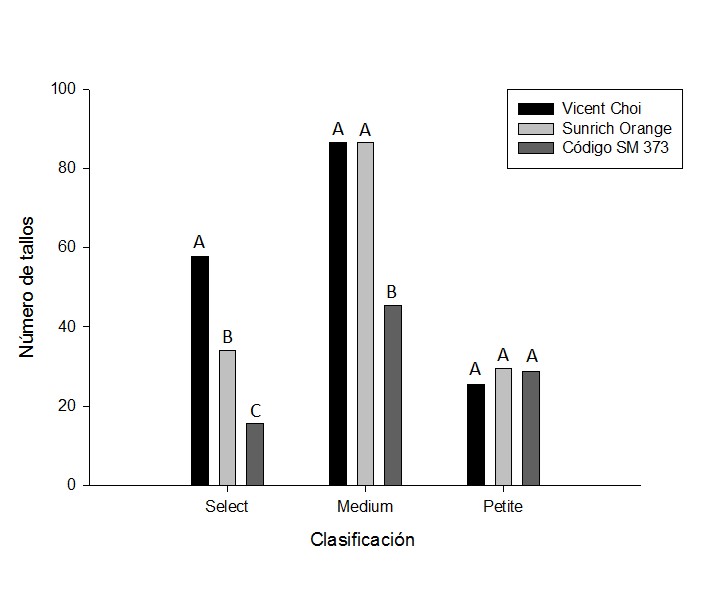 Produccin de tallos segn categoras de clasificacin de tres cultivares hbridos de girasol.