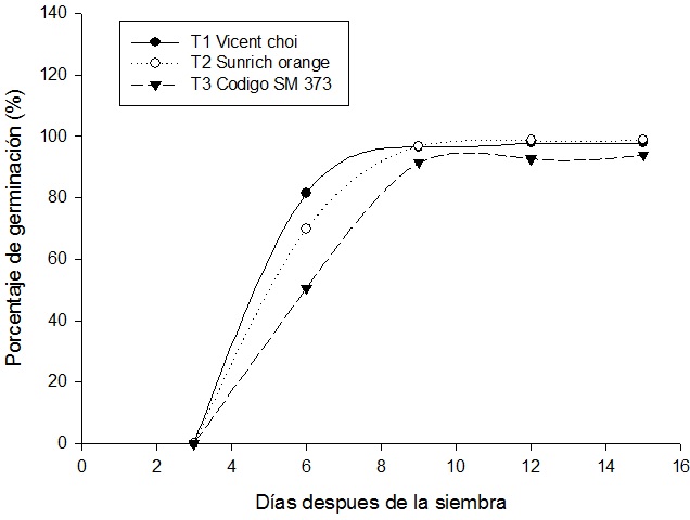 Dinmica del porcentaje de germinacin durante 15 das posteriores a la siembra en los cultivares hbridos Vicent Choice, Sunrich Orange y SM-373.