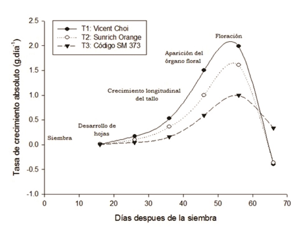 Tasa de crecimiento absoluto de tres cultivares hbridos de girasol en funcin del tiempo.