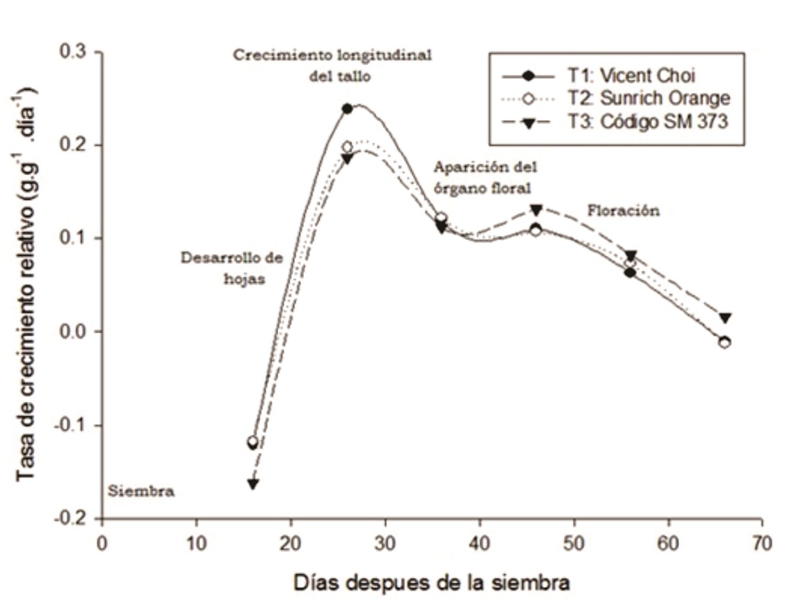 Tasa de crecimiento relativo en tres cultivares de girasol en funcin del tiempo.