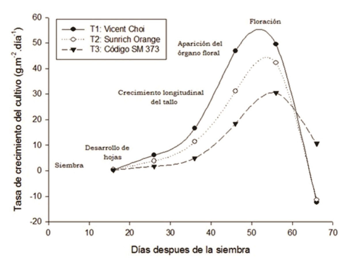 Tasa de crecimiento de tres cultivares hbridos de girasol en funcin del tiempo.