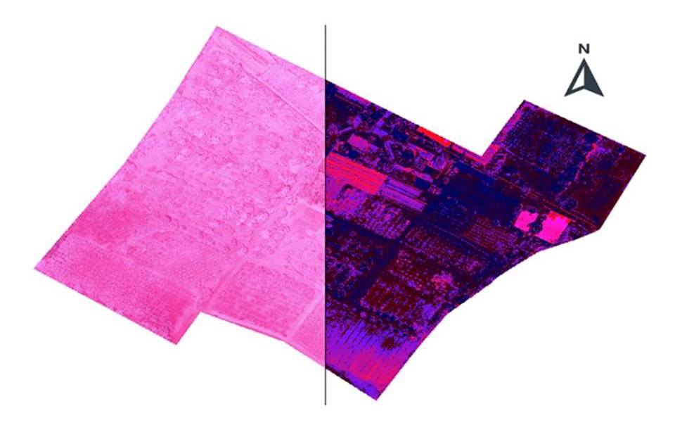 Calibraci�n de luz en el programa QGis.