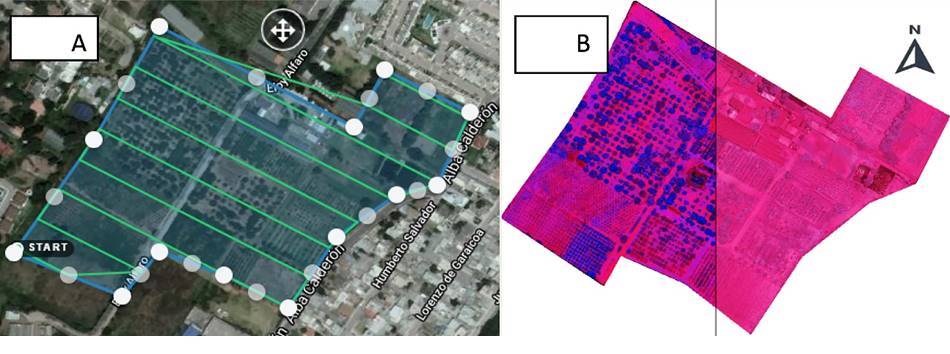 A. Plan de vuelo programado por DroneDeploy. B. imagen calibrada (derecha). Escala 1:2500.
