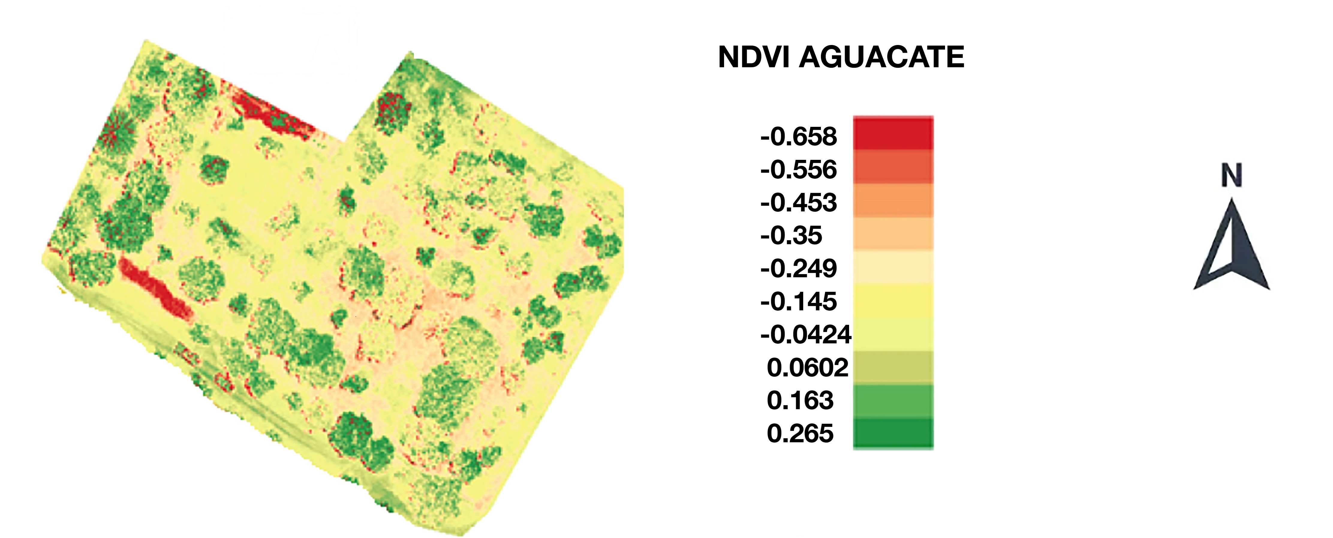 NDVI generado para la parcela evaluada de Aguacate. Escala 1:500.