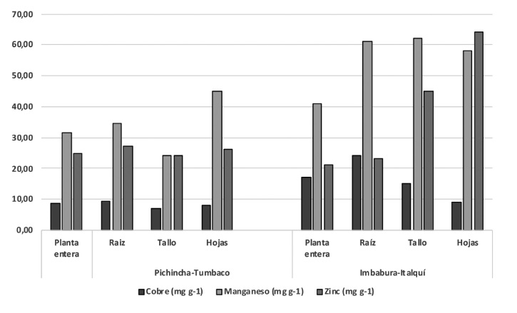 Concentraciones de microminerales de planta de orégano ECU-20229 de Pichincha e Imbabura, resultados en base seca.