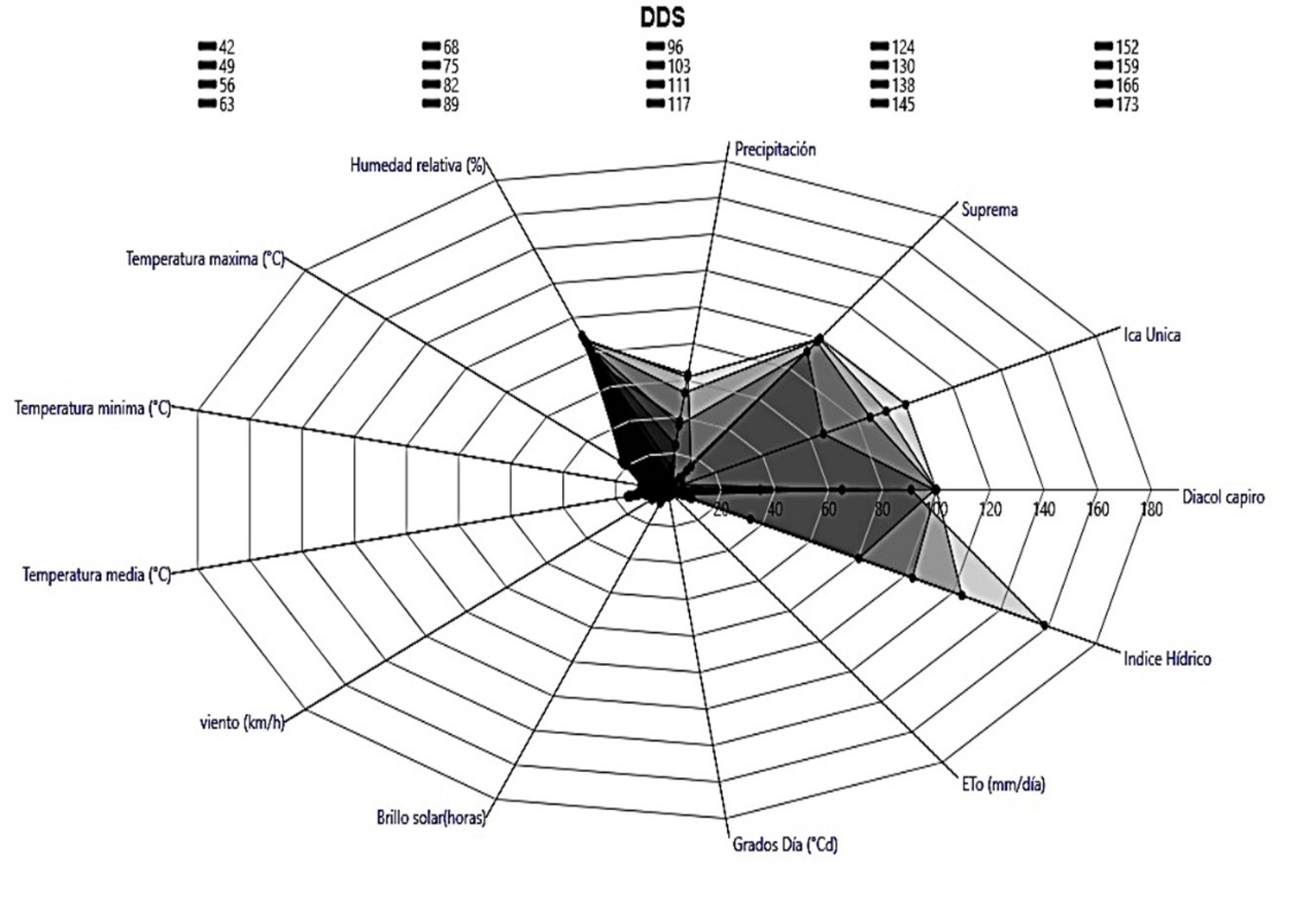 Grfico radial de la relacin de la severidad del tizn tardo (P. infestans) y las variables climticas en tres variedades de papa durante los meses de diciembre 2015 a mayo 2016 en un ciclo de cultivo (173 das despus de siembra - dds).