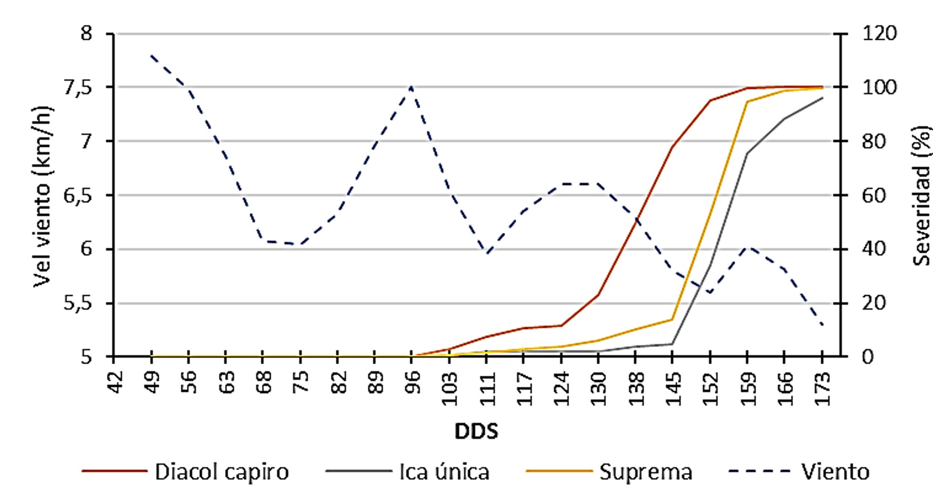 Relacin de la severidad del tizn tardo (P. infestans) y la temperatura en tres variedades de papa durante los meses de diciembre 2015 a mayo 2016 en un ciclo de cultivo (173 das despus de siembra - dds).