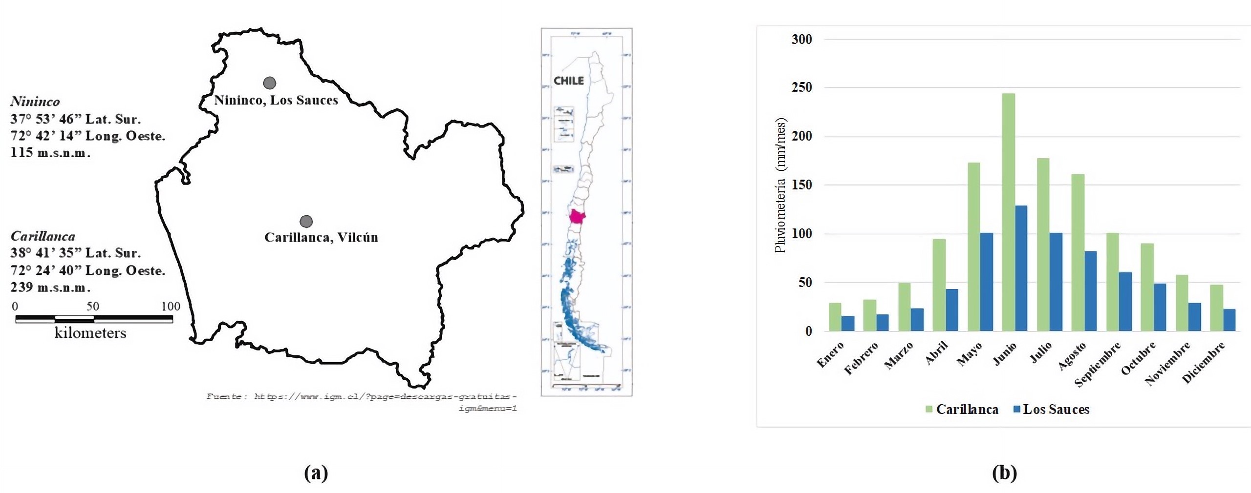 (a) Ubicacin de los mdulos de seguimiento de Atriplex nummularia Lindl. y (b) pluviometra (Carillanca, promedio 1990-2021; Los Sauces, promedio 1960-2019).
