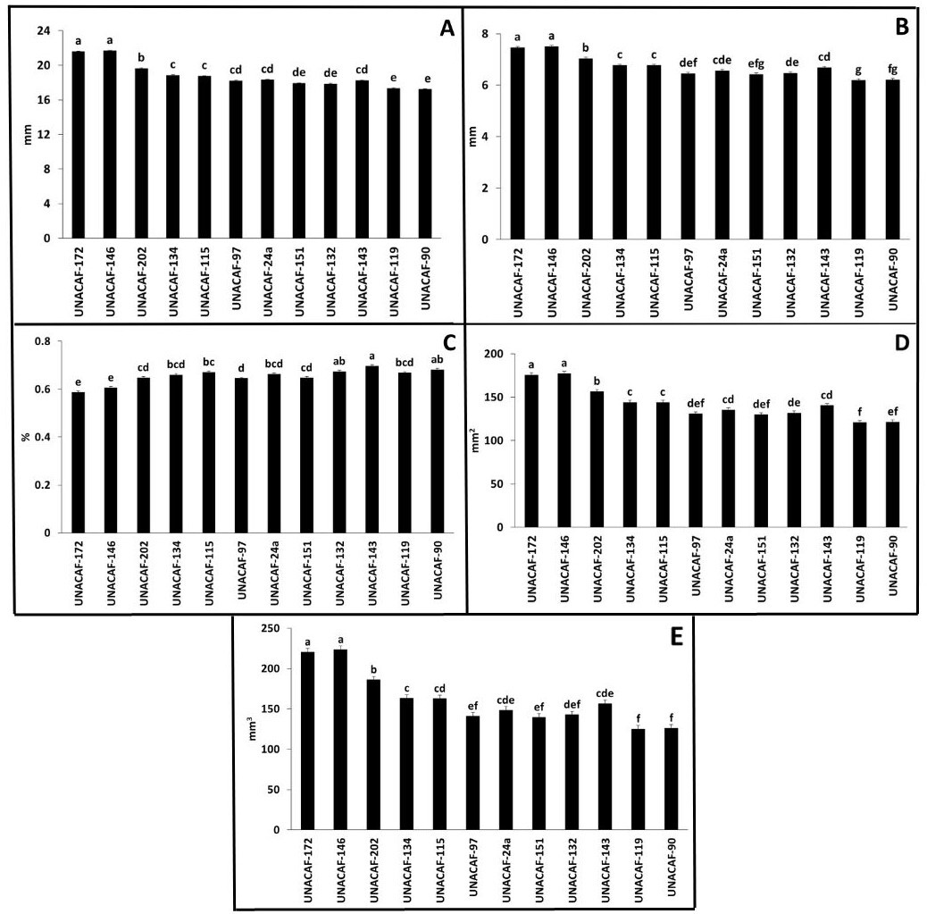 �ndices f�sicos evaluados en este experimento. A) di�metro aritm�tico (mm), B) di�metro geom�trico (mm), C) grado de esfericidad (%), D) �rea superficial (mm2) y E) volumen (mm3).