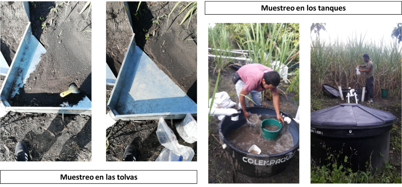 Toma de muestras en las tolvas y los tanques de las parcelas de escorrent�a en el departamento de Santander (municipio de V�lez).