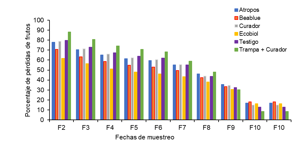 Porcentaje de p�rdidas de fruto por afectaci�n de broca en las diferentes fechas de muestreos en los tratamientos bajo estudio