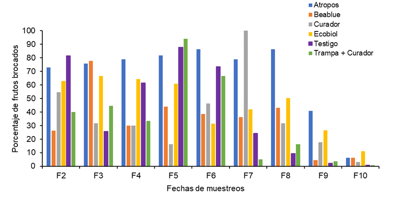 Comportamiento de las afectaciones de broca en las diferentes fechas de muestreos en los tratamientos bajo estudio