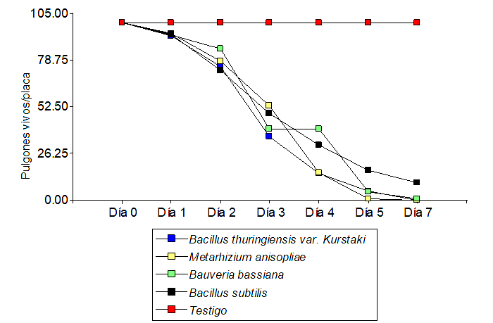 Las líneas representan el descenso de los niveles poblacionales del pulgón según tratamientos, a través del tiempo, pulgones vivos placa-1.