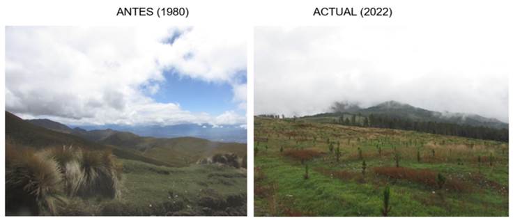 Cambio de uso de suelo, páramo “Los Corrales”