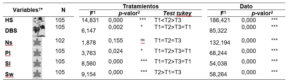 Caracter�sticas morfol�gicas de las pl�ntulas (media � error est�ndar) en los primeros meses de establecimiento del cultivo. Se presentan resultados del An�lisis MLG Univariante junto con significancia estad�stica y el Tukey test aplicada para los tratamientos.