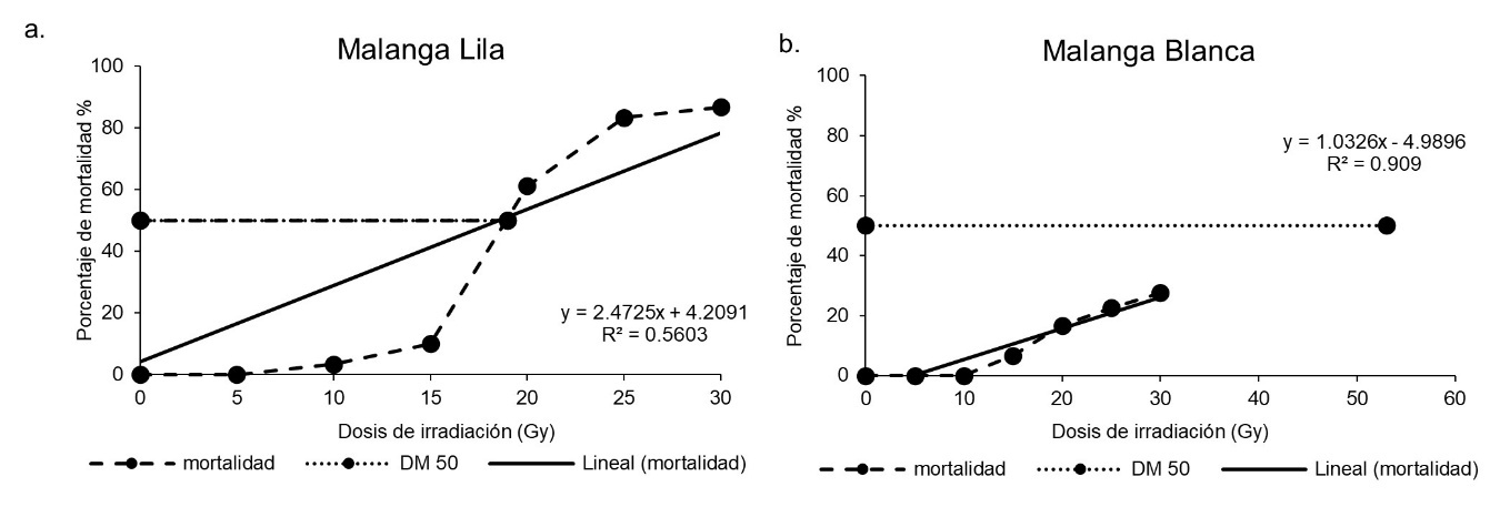Dosis letal de plantas in vitro de: a. malanga Lila y b. malanga Blanca irradiadas con rayos gamma.