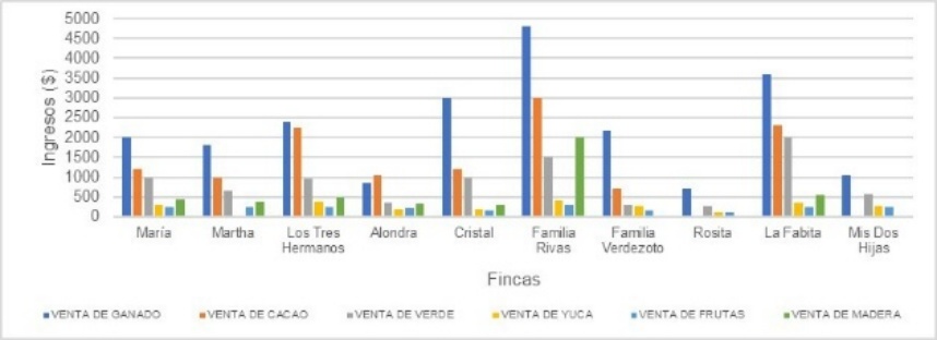 Ingresos anuales por actividad.