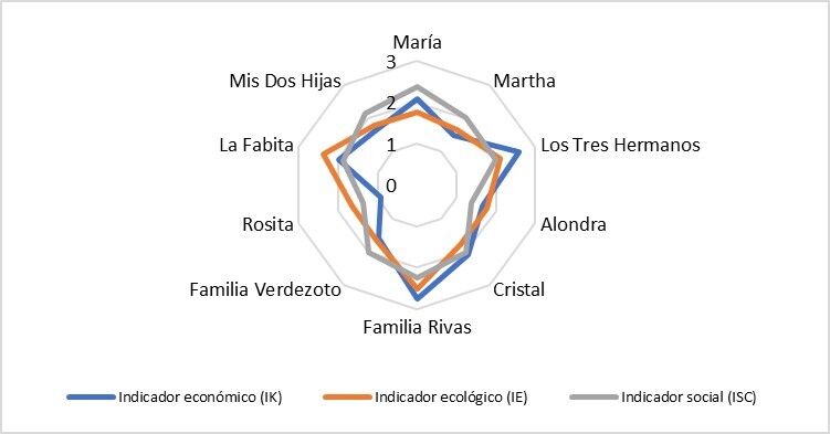 Polígono de sostenibilidad de las dimensiones social, económica y ambiental.