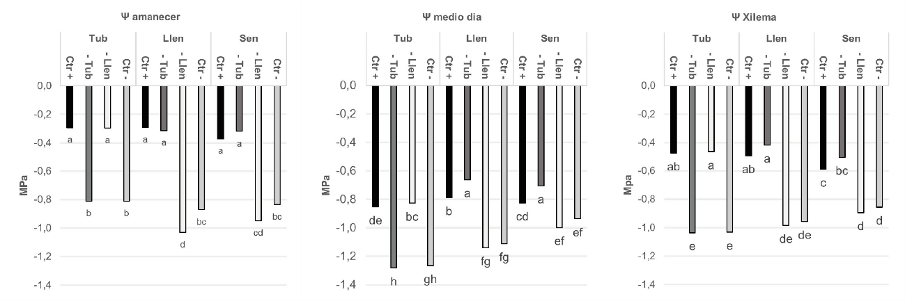 Potencial hídrico foliar amanecer, medio día y de xilema por efecto de la fase fenológica del cultivo y tratamiento de humedad del suelo en plantas de papa Solanum phureja bajo condiciones de invernadero.*