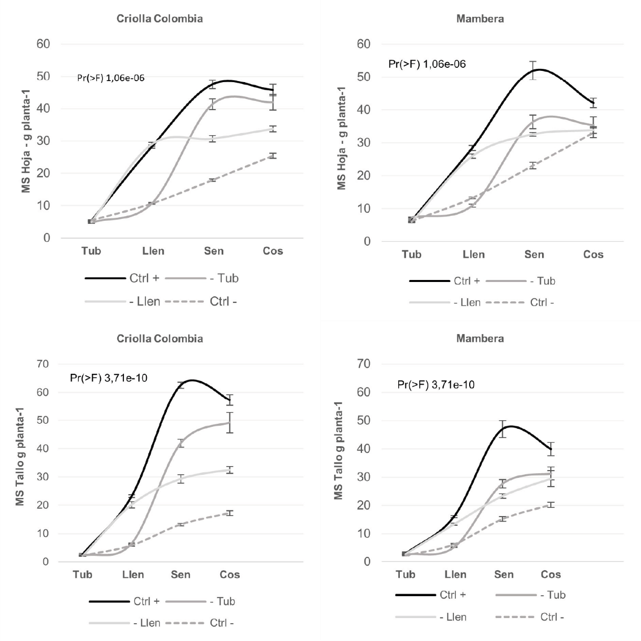 Acumulación de materia seca en la parte aérea de la planta por efecto de la fase fenológica, tratamientos de humedad del suelo y cultivar en plantas de papa Solanum phureja bajo condiciones de invernadero.