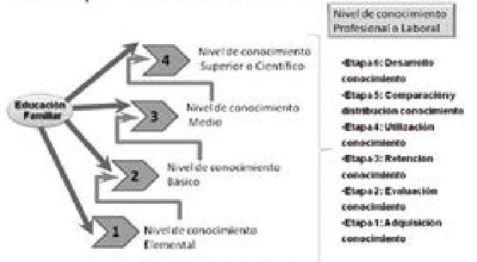 Etapas
dentro de la cadena de valor del conocimiento