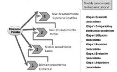 Etapas dentro de la cadena de
valor del conocimiento