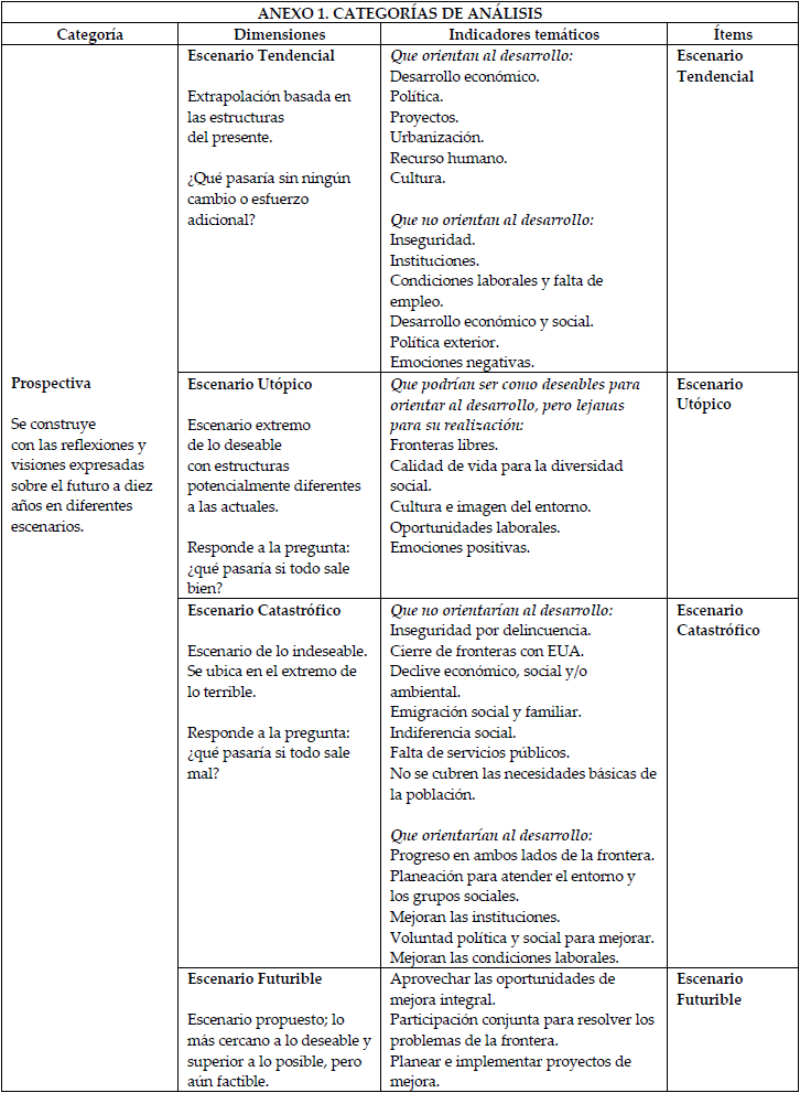 CATEGORÍAS DE ANÁLISIS 