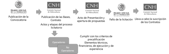 Proceso de una licitaci&oacute;n