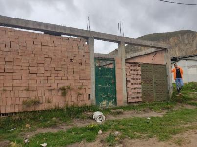 Grfico 12. Saln comunal sin plancha