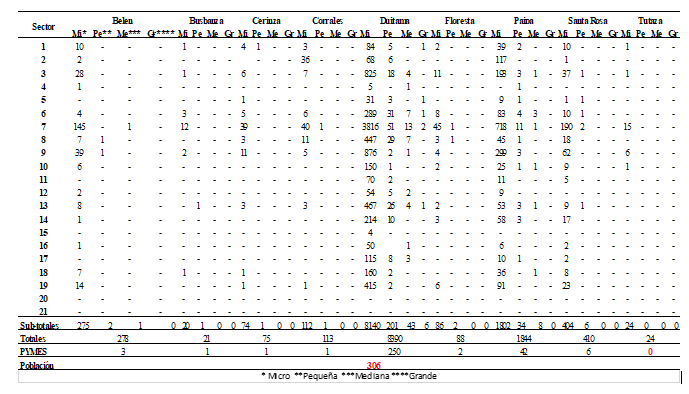 Imagen 2: Tabla de Consolidado de MIPYME