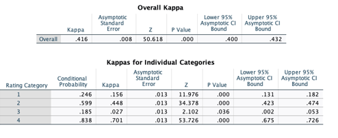 Ilustracin 2: Resultados clculo coeficiente Kappa de Fleis Evaluacin Relevancia