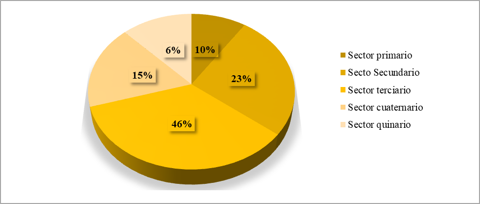 Sector laboral de los egresados
