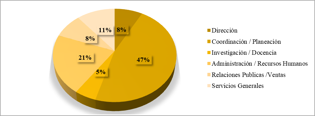 Actividad principal del egresado