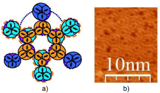 Cluster of triatomic molecules:
