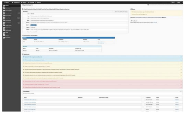 Analysis results in the Cuckoo sandbox