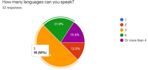 Multilingual Reality of Participants