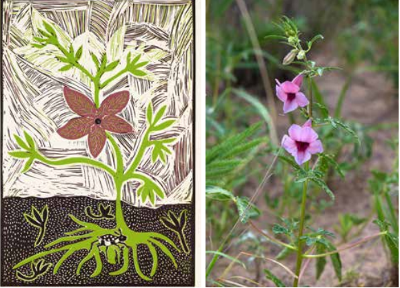 Thamae Kaashe Qae-qane, 2013 Linogravure, 25�18 cm, � Kuru Art Project, Collection JBN