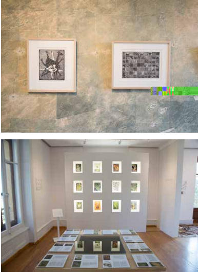 Dans la salle 2 (Le d�sert morcel�), cinq linogravures de Jan Tcega John et de Thamae Kaashe �voquent l&rsquo;enfermement et la s�paration. Elles sont expos�es sur une image a�rienne de parcelles priv�es tir�es au cordeau qui entourent D&rsquo;kar (photo du haut) et font face aux linogravures de plantes expos�es � l&rsquo;int�rieur d&rsquo;un meuble-mosa�que (photo du bas). Ce jeu de miroir venait mettre en relation indirecte la violence de l&rsquo;histoire coloniale avec la violence en jeu dans l&rsquo;exportation et l&rsquo;usage du concept d&rsquo;art au Kalahari. Des barri�res, des lignes droites, des cadres, qui de part et d&rsquo;autres s�parent artificiellement, modifient le rapport au territoire, et le regard qui lui est port�. Dans un film, Jan Tcega John venait �voquer la rupture du lien avec la faune sauvage et son � r�ve de vivre � nouveau aux c�t�s de ces animaux.� Au centre, une table-vitrine avec en son cœur un diaporama de la flore du Kalahari ( focus botanique cach� n&rsquo;entrant pas en concurrence avec les œuvres) et autour des fiches avec le contenu ethnobotanique associ� � chacune des linogravures