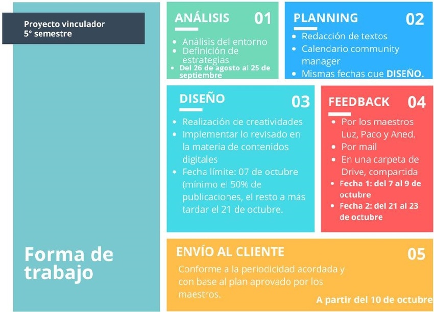Esquema gráfico con la descripción de fases y fechas para el desarrollo y cumplimento del proyecto.