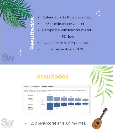 Algunas de las estadísticas generadas tras la gestión de los estudiantes de las cuentas oficiales de la empresa.