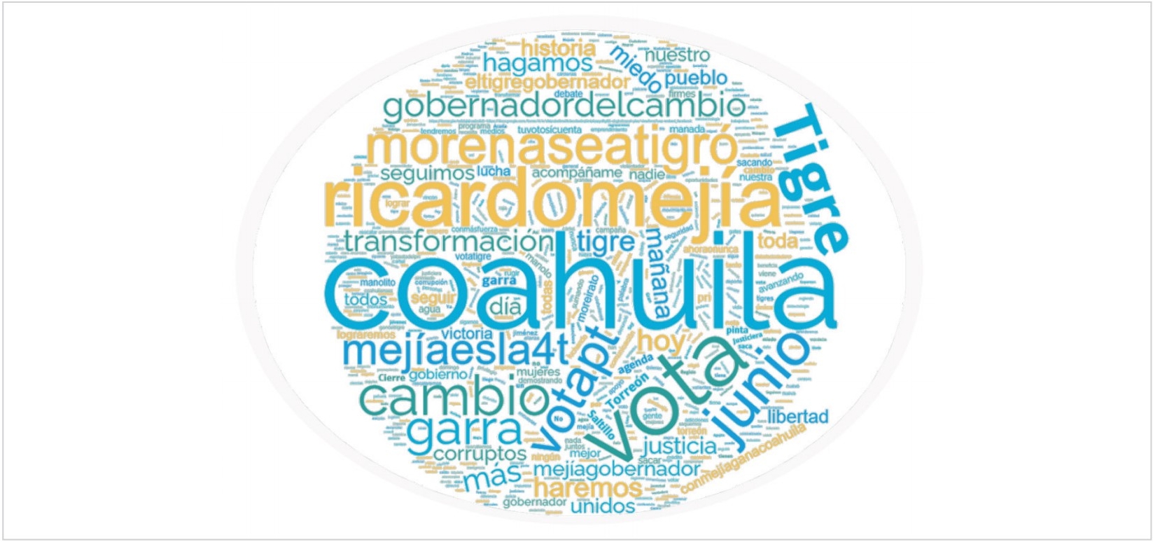 Nube de palabras del candidato Ricardo Mejía (PT)