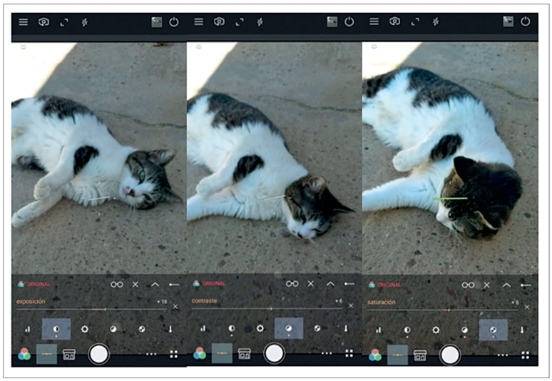 Fotografía realizada con la aplicación Cameringo
									Lite.